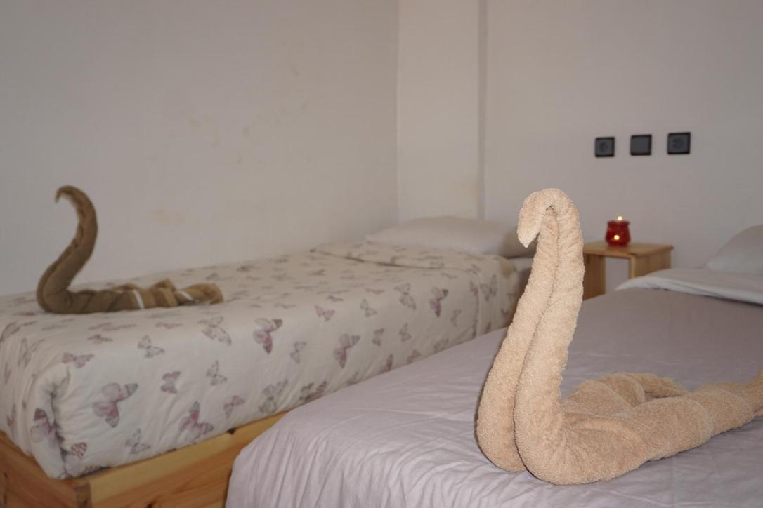 Hostel The Endless House Anchor Point Taghazout Exterior foto